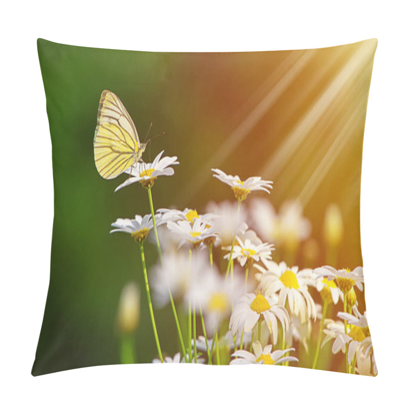 Personality  Yellow Butterfly On A Beautiful White Flower With Sunshine In The Morning, Green Nature Background. Pillow Covers