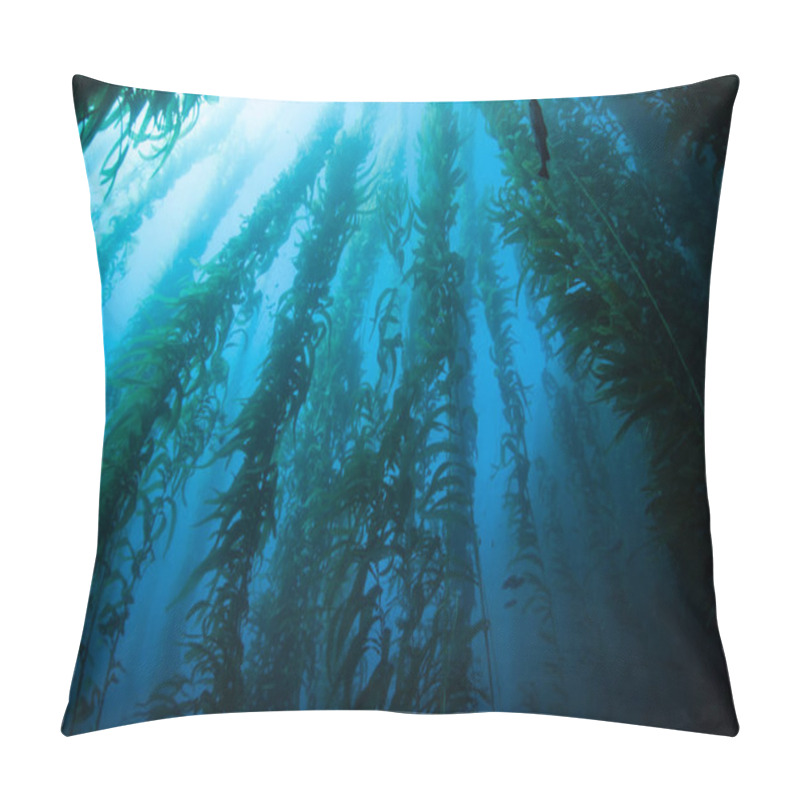 Personality  Beautiful Kelp Forest In California Pillow Covers