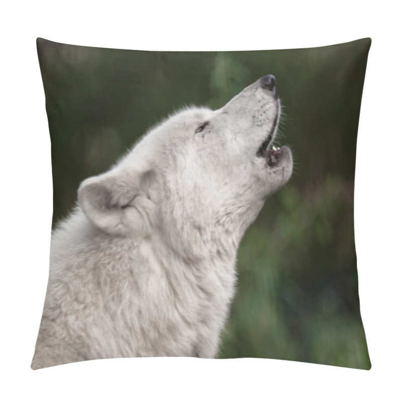 Personality  Portrait Of A Howling Wolf At Sunset, Artis Zoo Amsterdam Pillow Covers