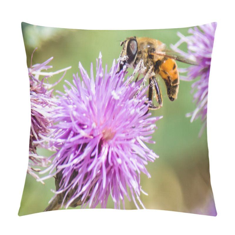 Personality  Honey Bee On A Purple Flower Pillow Covers