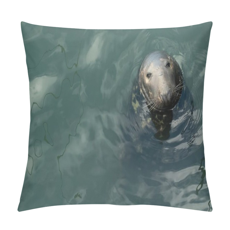 Personality  Curious Grey Seal In Calm Waters. A Close-up Photograph Of A Grey Seal Halichoerus Grypus Emerging From Calm, Reflective Waters. The Seals Inquisitive Expression And Detailed Whiskers Create A Pillow Covers