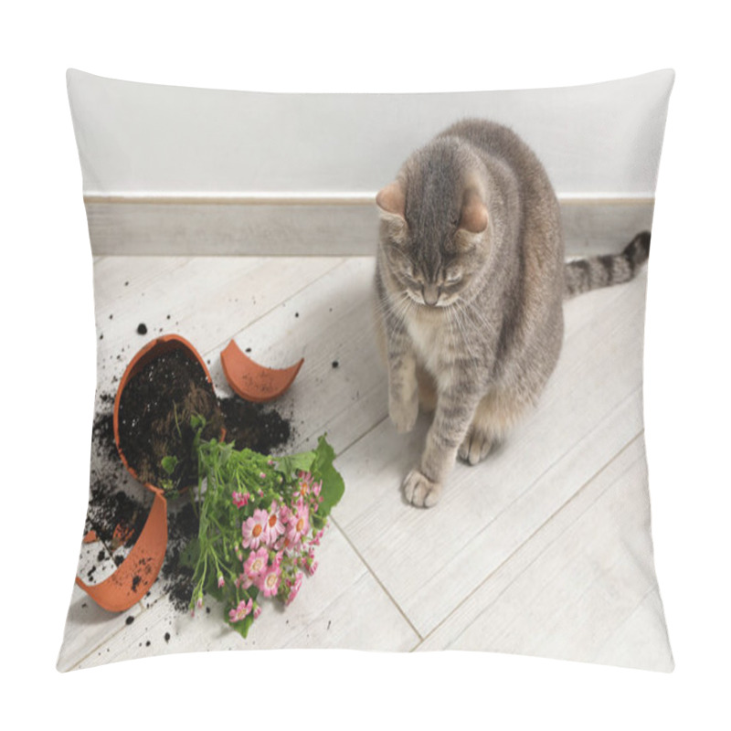 Personality  Cute Cat And Broken Flower Pot With Cineraria Plant On Floor Indoors Pillow Covers