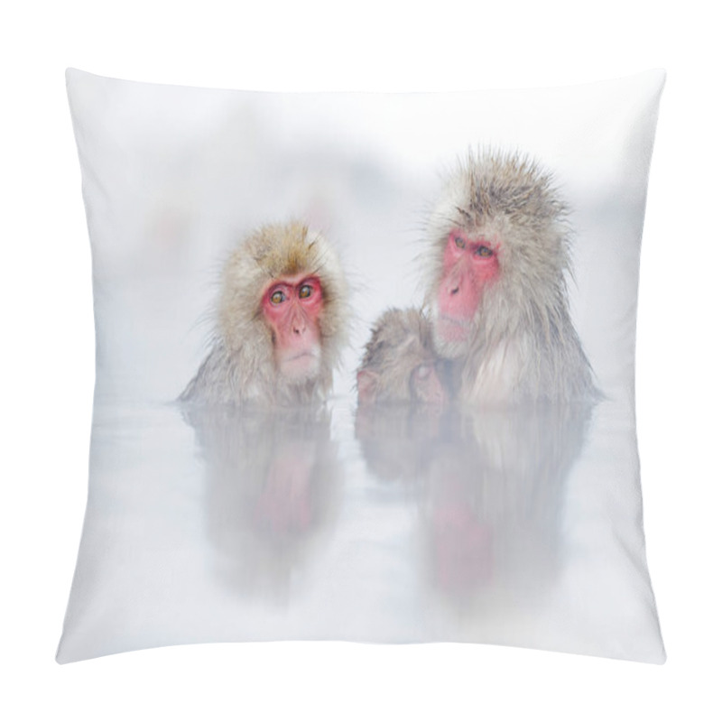 Personality  Family In The Spa Water Monkey Japanese Macaque, Macaca Fuscata, Red Face Portrait In The Cold Water With Fog, Animal In The Nature Habitat, Hokkaido, Japan. Wide Angle Lens Photo With Nature Habitat. Pillow Covers