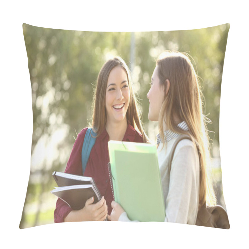 Personality  Students Walking And Talking In A Campus Pillow Covers