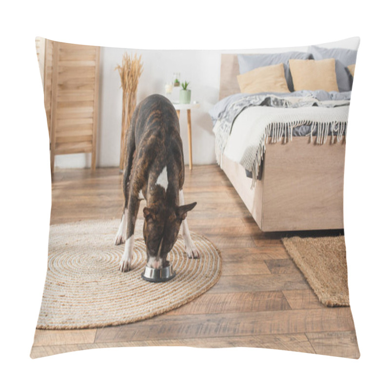 Personality  American Staffordshire Terrier Eating Pet Food From Bowl On Round Rattan Carpet In Bedroom  Pillow Covers