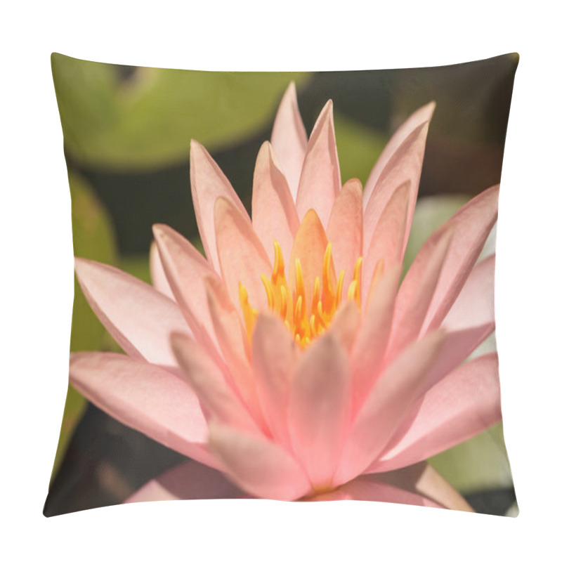 Personality  Water Lily Flower  Pillow Covers