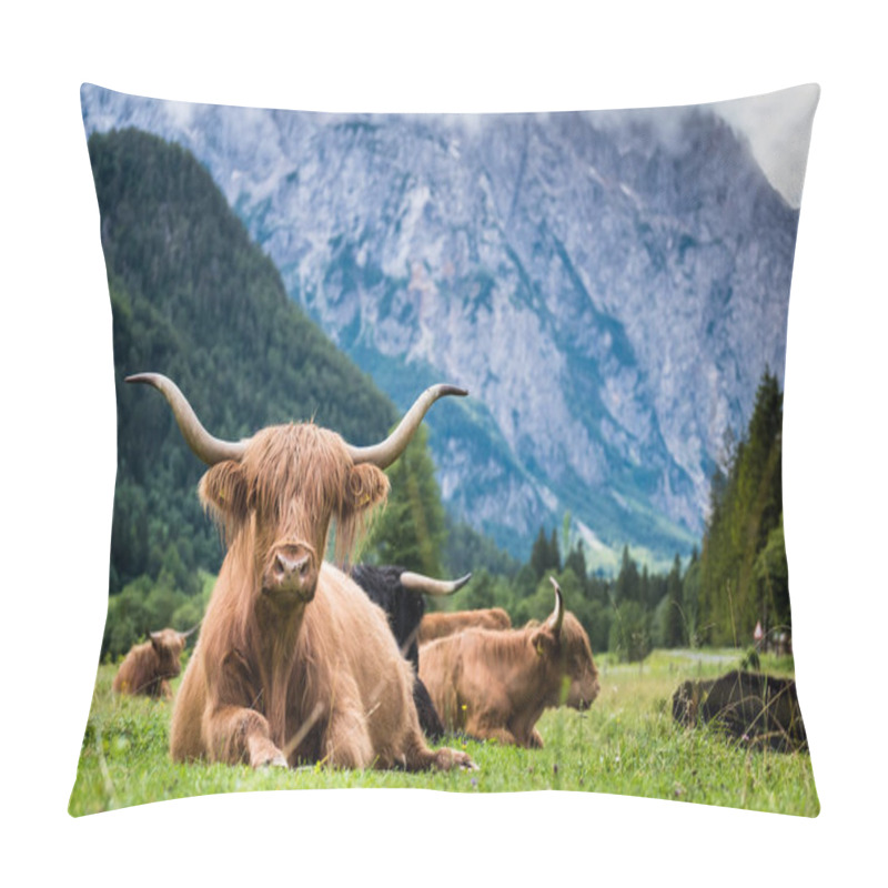 Personality  Scottish Breed Of Rustic Shaggy Cattle Also Famous As Highland Cattle Lying On The Green Gras On The Wide Meadow In The Logar Valley, Slovenia. Pillow Covers