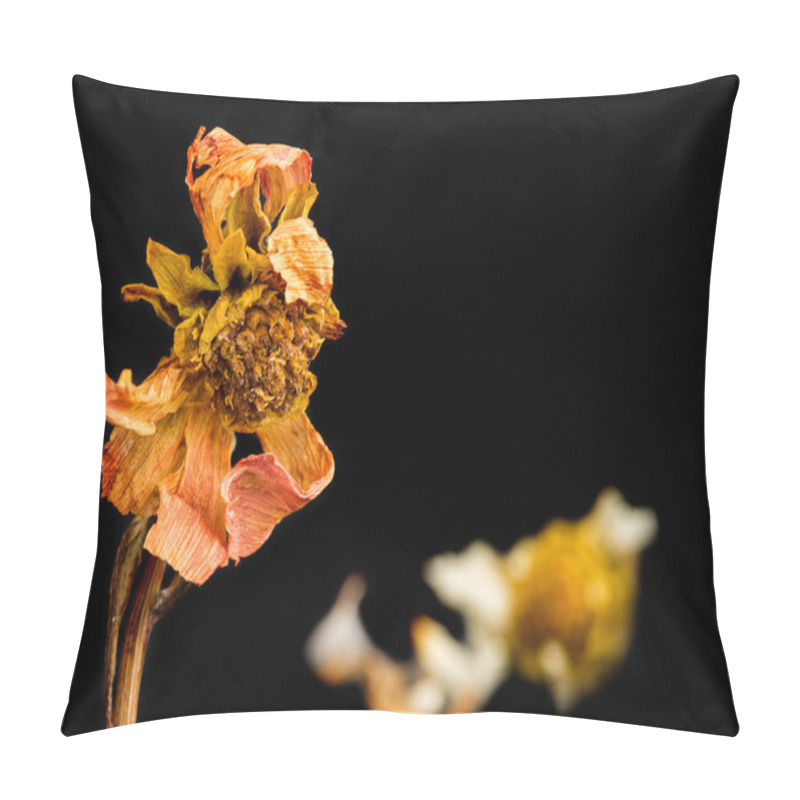 Personality  Life Melancholy With A Flower Pillow Covers