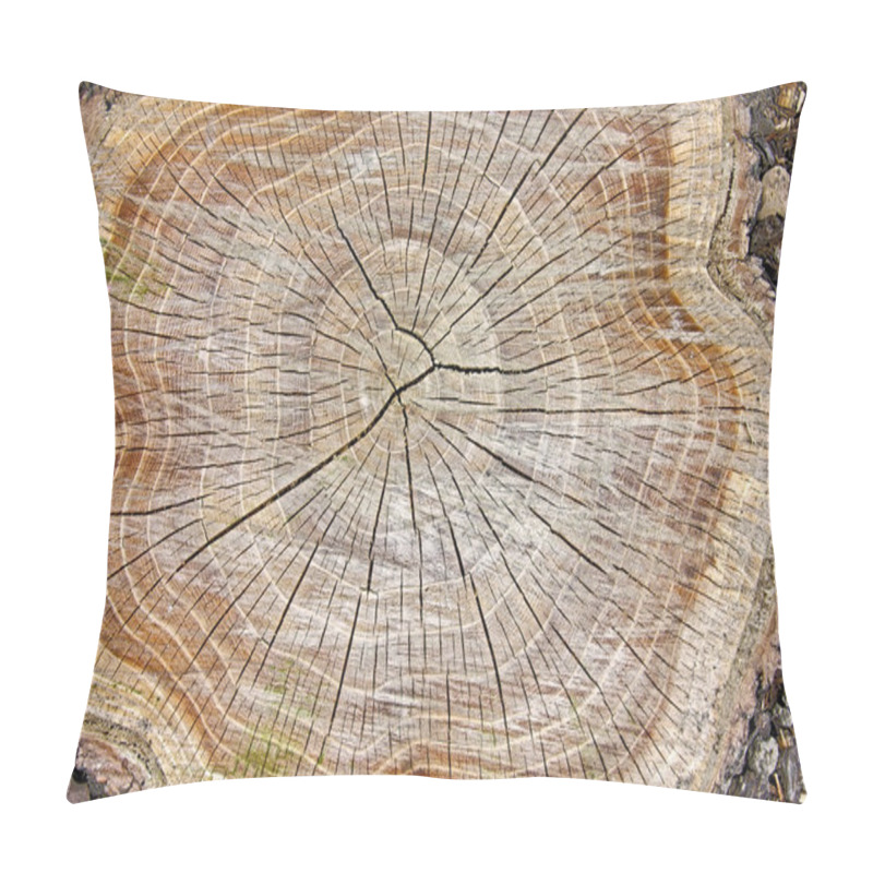 Personality  Stump Of Tree Pillow Covers