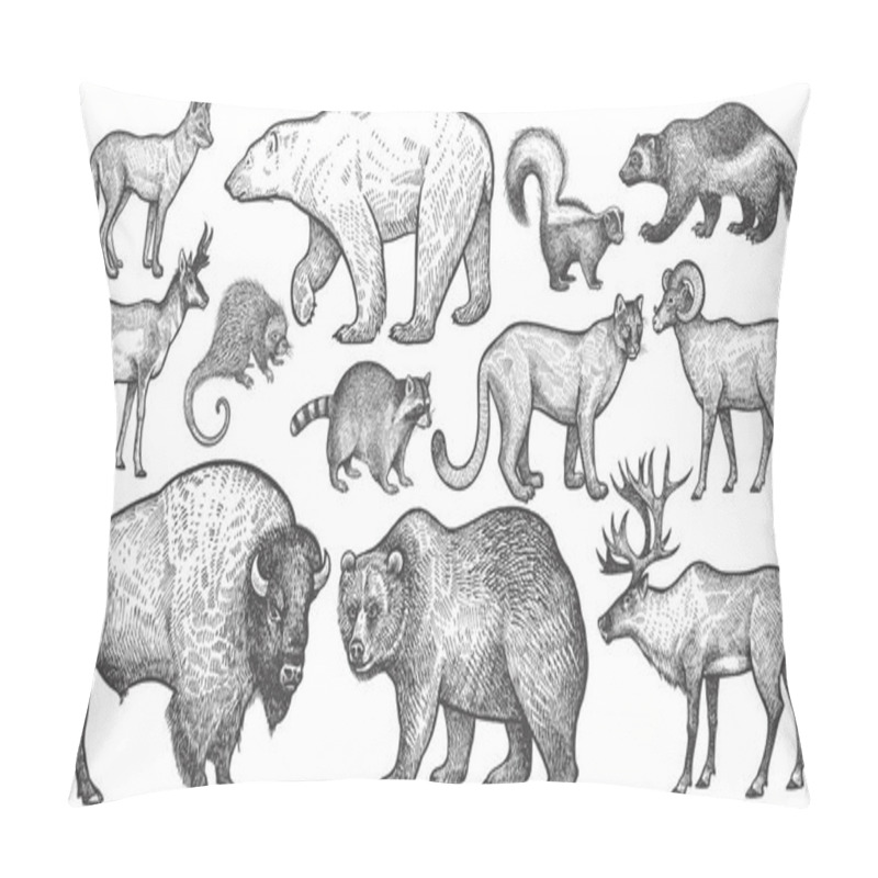 Personality  Animals Of North America Big Set. Pillow Covers