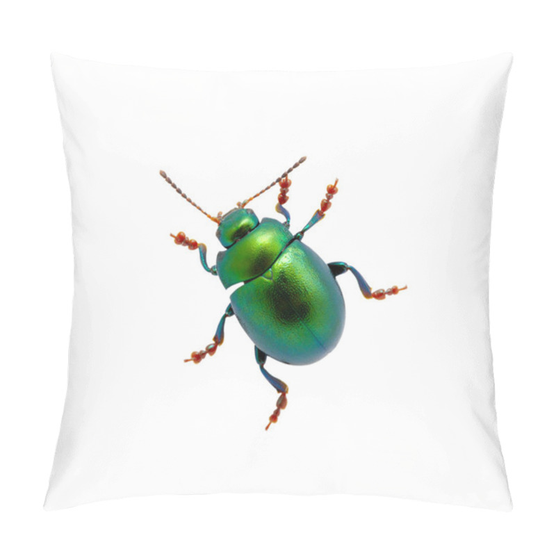 Personality  Green Beetle Pillow Covers