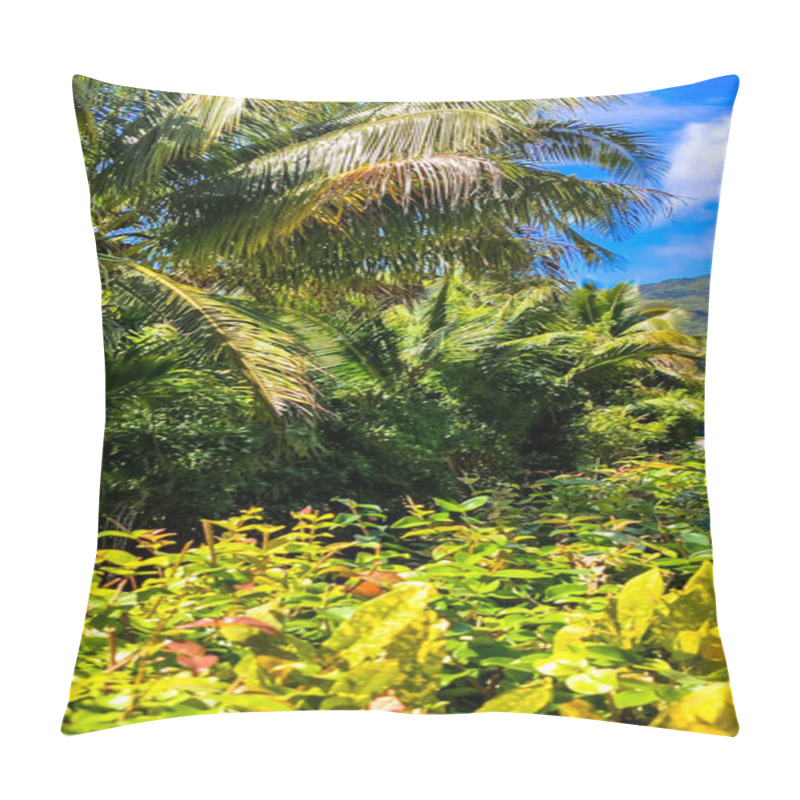 Personality  Tropical Garden In The Cook Islands. Lush Green Foliage. Towering Palm Trees Against A Clear Blue Sky. Paradise Found. A Vibrant Tapestry Of Nature. Pillow Covers