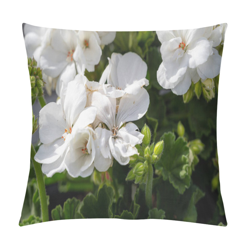 Personality  Closeup Picture Of White Flowers. Green Background Pillow Covers