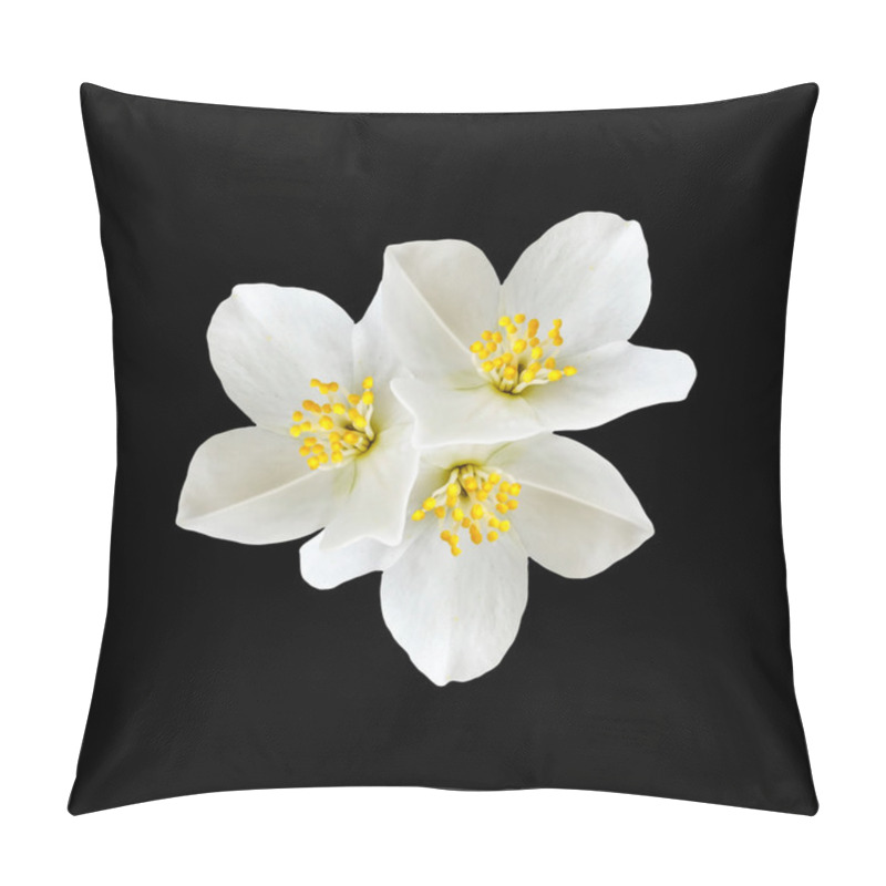 Personality  White Jasmine Flower.  Pillow Covers