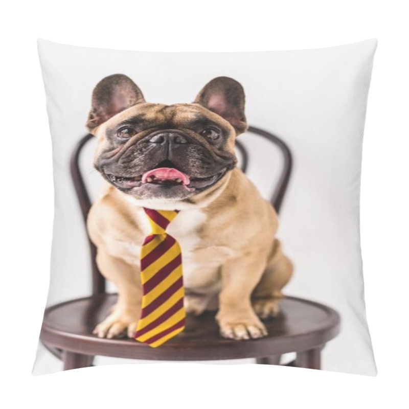 Personality  Bulldog In Striped Necktie Pillow Covers