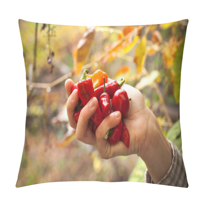 Personality  Female Hand Holding A Bunch Home Produced Of Red Chilly Peppers Outdoors Pillow Covers