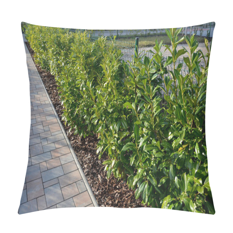 Personality  An Evergreen Shrub In Front Of A Light Wood Wire Fence Will Improve The Opacity Of The Street. Drip Irrigation Dispenses Water Into Shrub Plantings. Mulching Saves Water And Reduces Evaporation Pillow Covers