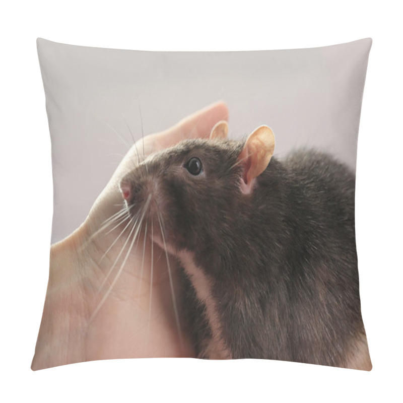 Personality  Cute Funny Rat Pillow Covers