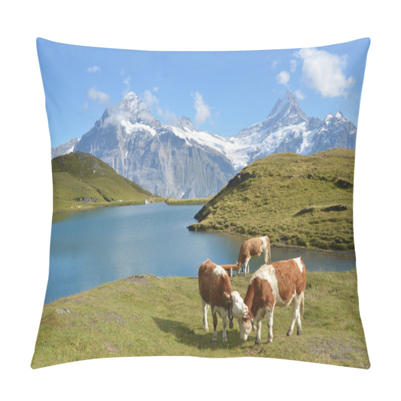 Personality  Cows In An Alpine Meadow. Jungfrau Region, Switzerland Pillow Covers