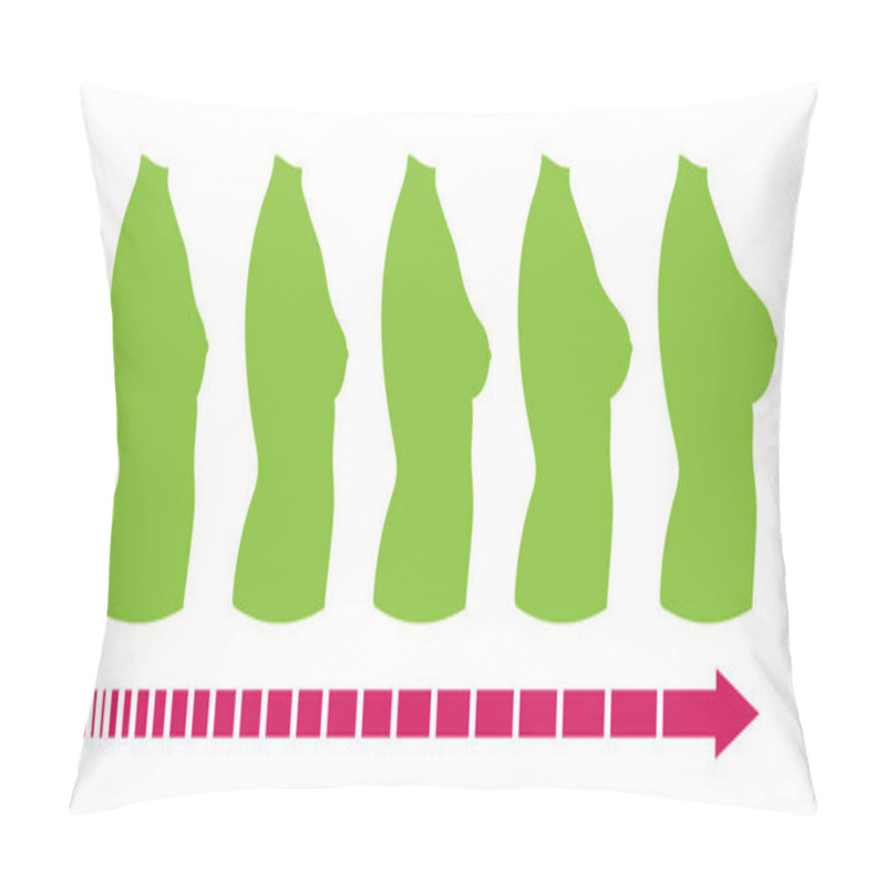 Personality  Breast Size: Female Body Silhouette, Side View. Contour Drawing Of Various Boobs Sizes, From Small To Large. Set Of Different Sized Busts. Vector Isolated.  Pillow Covers