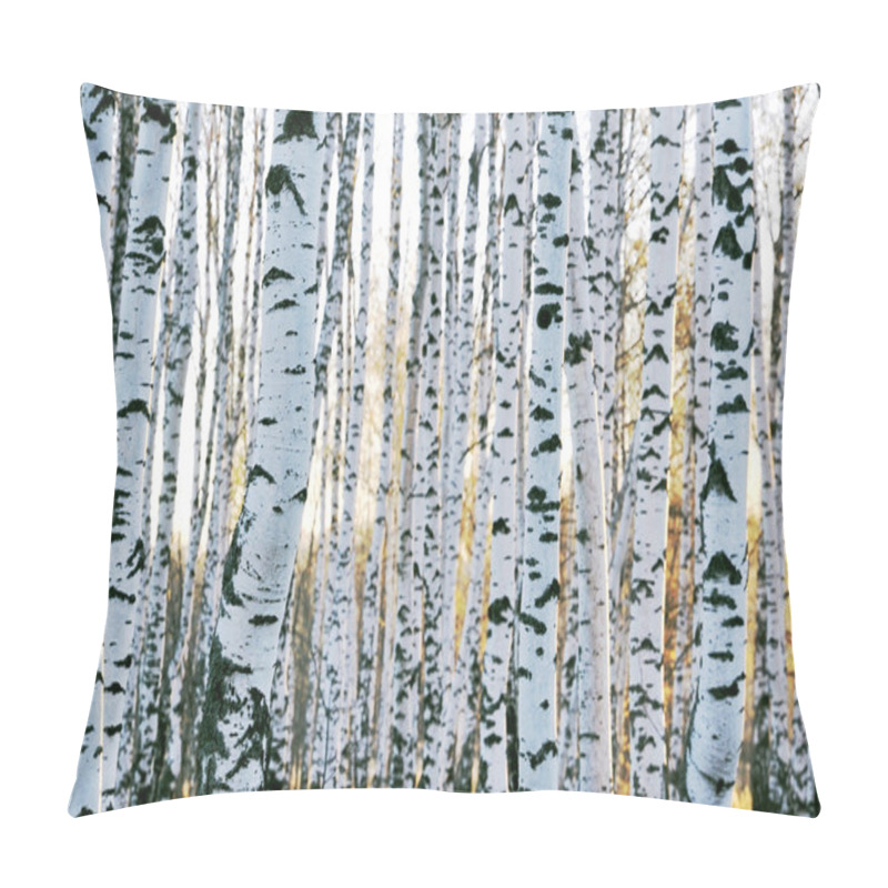 Personality  Birch Forest In Autumn Pillow Covers