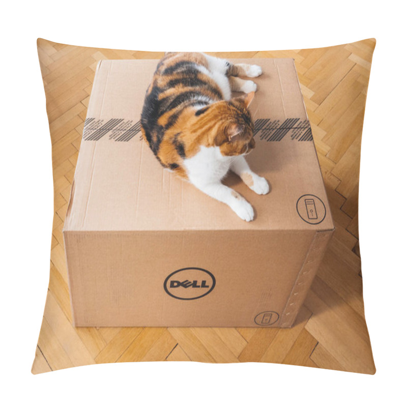 Personality  Cat Inspecting Multiple Amazon Prime Boxes  Pillow Covers