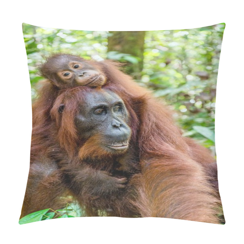 Personality  Baby Orangutan On Mother's Back Pillow Covers