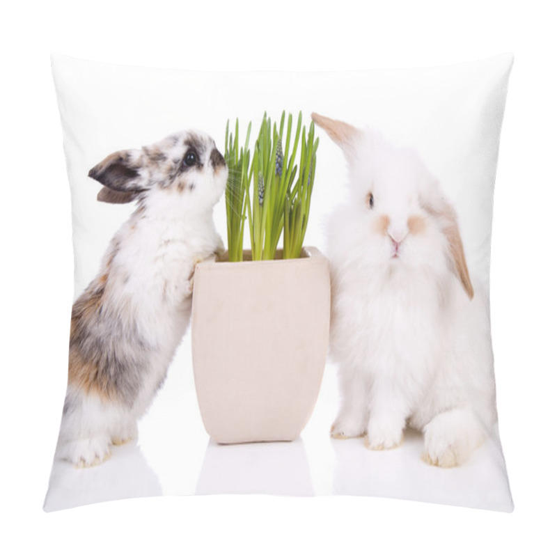 Personality  Easter Bunnies Pillow Covers