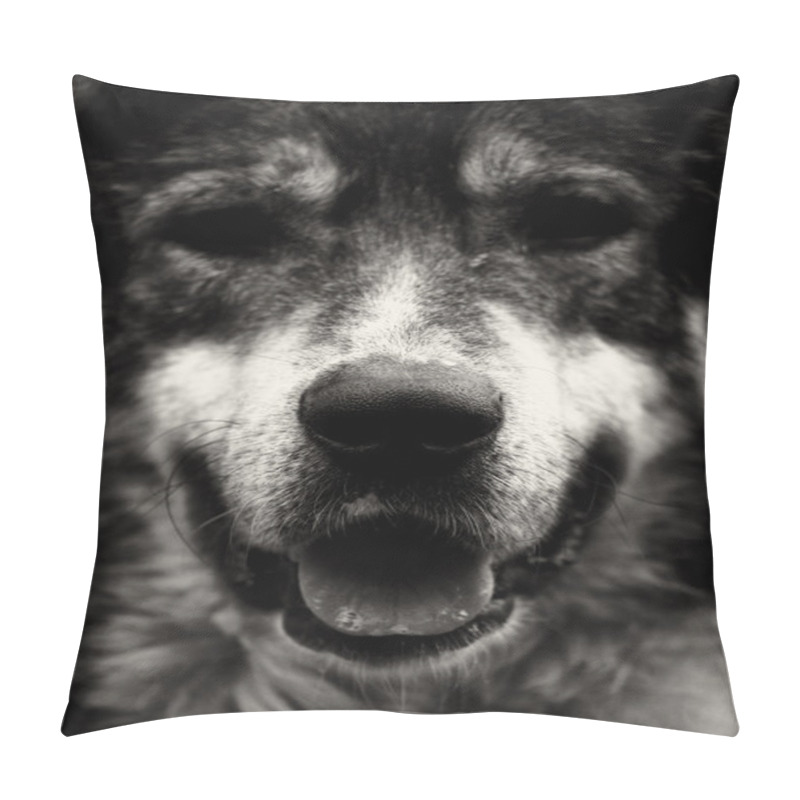 Personality  Dog Portrait Pillow Covers