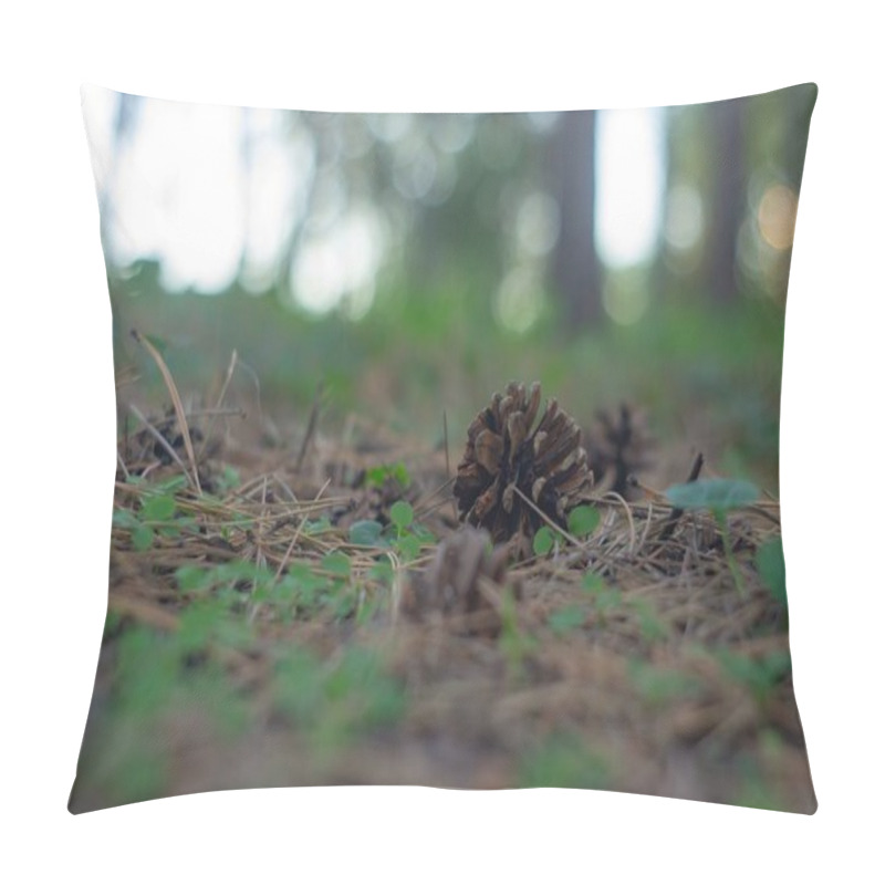 Personality  A Close-up Image Of A Large Brown Seed Pod Or Structure On A Forest Floor, Surrounded By Small Green Plants And Moss, Possibly In A Moist Environment, Under Natural Lighting Conditions Pillow Covers