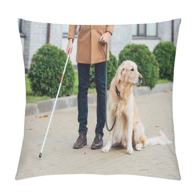 Personality  Cropped View Of Blind Man With Guide Dog And Walking Stick On Urban Street Pillow Covers