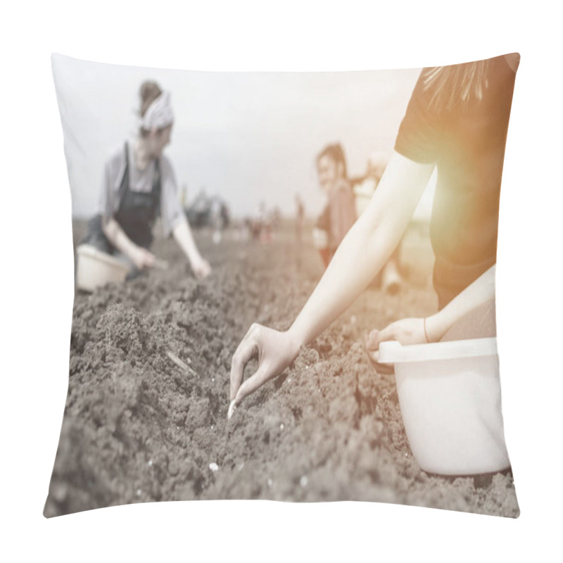 Personality  Farmers Planting Young White Onion In The Vegetable Garden Or Field On Countryside, Spring Time Pillow Covers