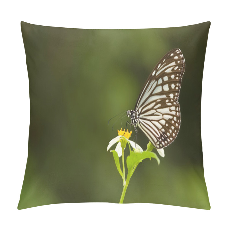 Personality  Natural Milkweed Butterfly Pillow Covers