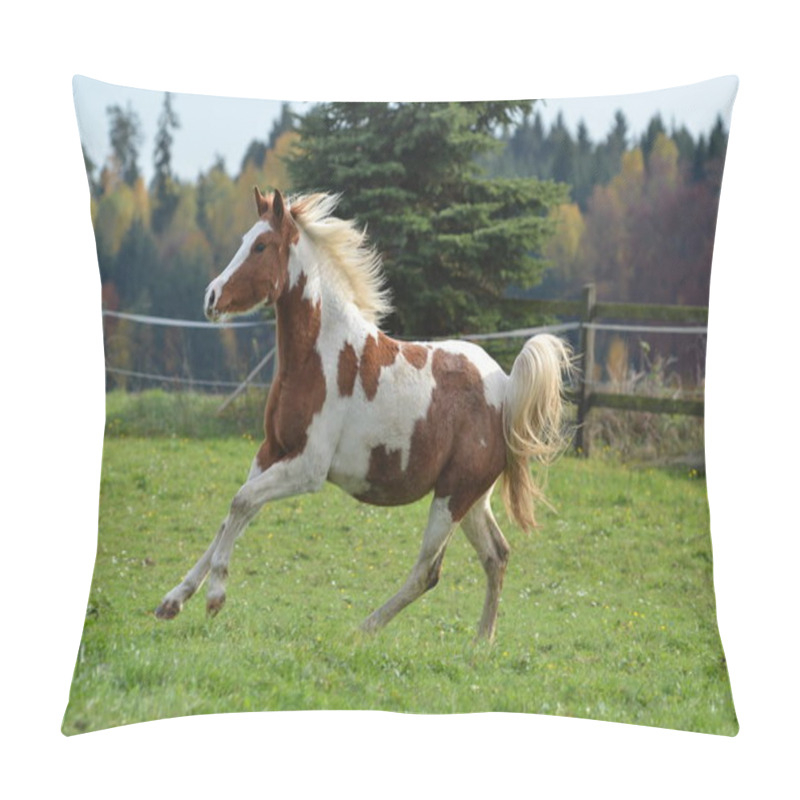 Personality  Cute Horse At Wild Nature  Pillow Covers