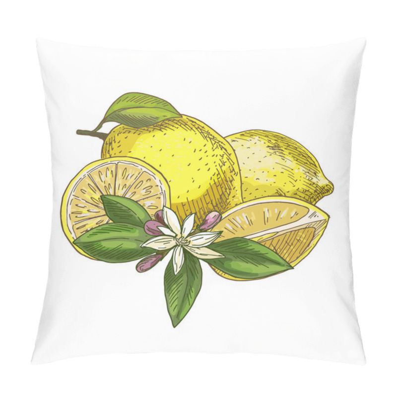 Personality  Lemon With Leaf, Half Of The Fruit, Flower. Pillow Covers