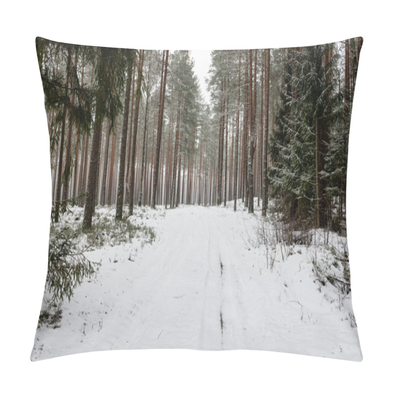 Personality  Snowy Winter Forest In Mist Pillow Covers