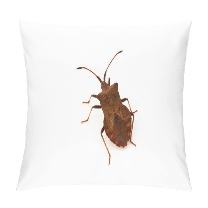 Personality  Brown Bug Pillow Covers