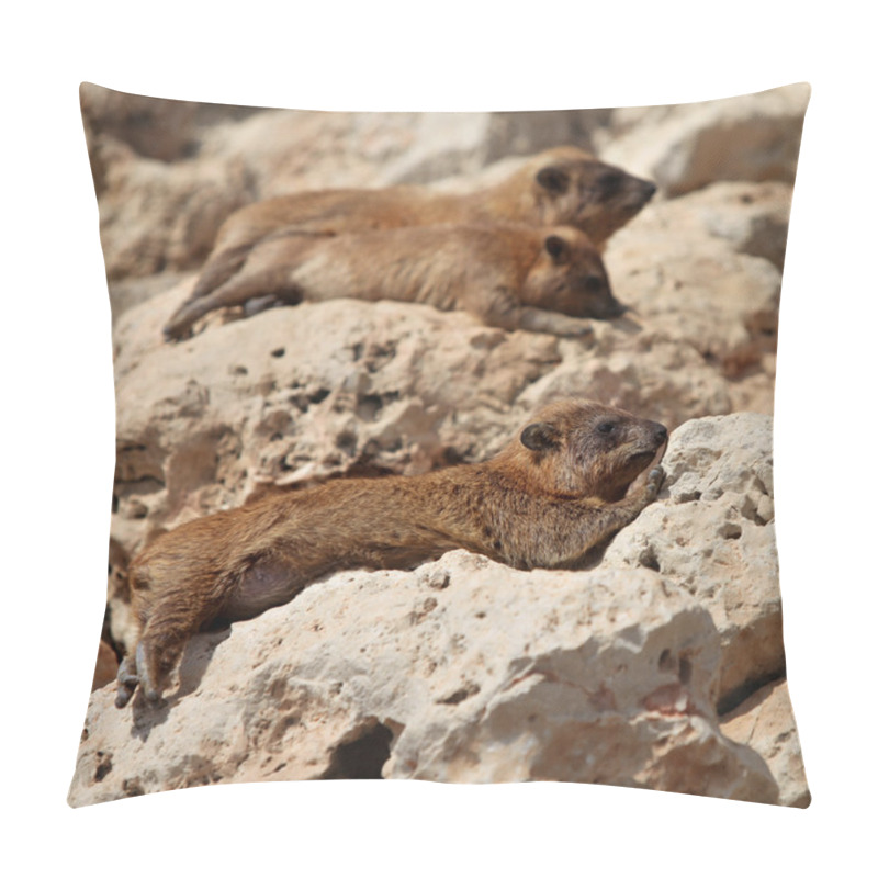 Personality  Cape Hyrax (Procavia Capensis) Pillow Covers