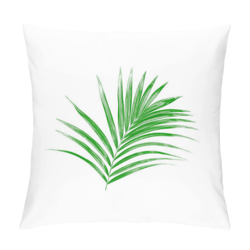 Personality  Green Leaf Of Palm Tree Isolated On White Background Pillow Covers