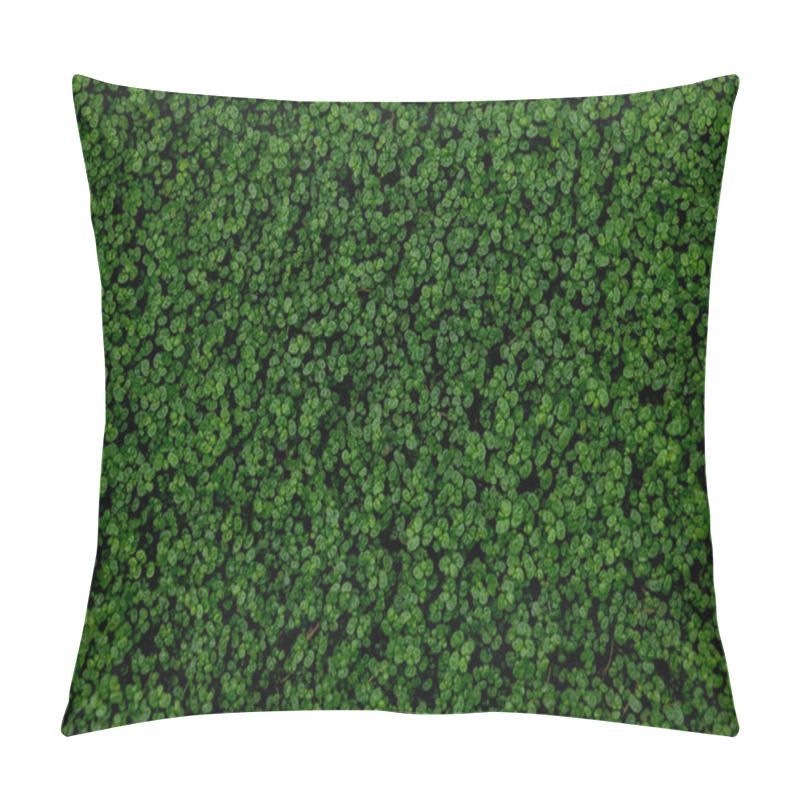 Personality  Full Frame Shot Of Ground Ivy, Textured Background Pillow Covers