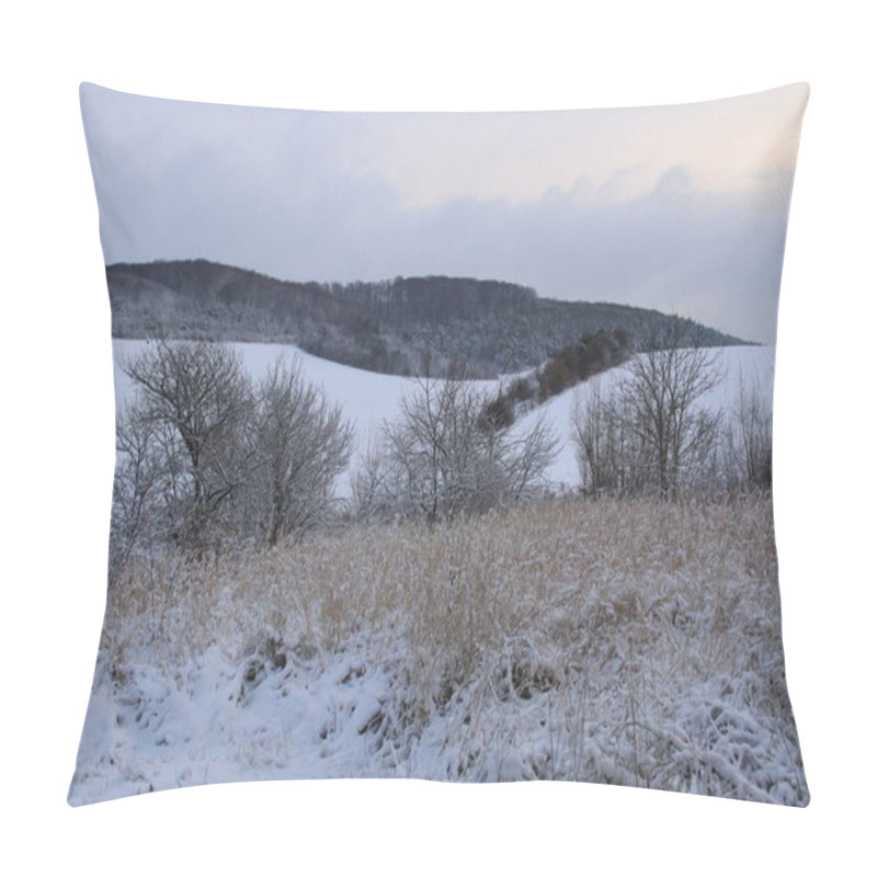 Personality  Snow-covered Ukrainian Fields And Gardens. Backgrounds Of Winter Nature For Phones And Tablets. Seasons Of The Year. Pillow Covers