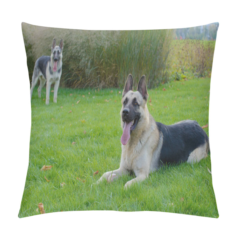 Personality  Two German Shepherds, East European Shepherds  Pillow Covers