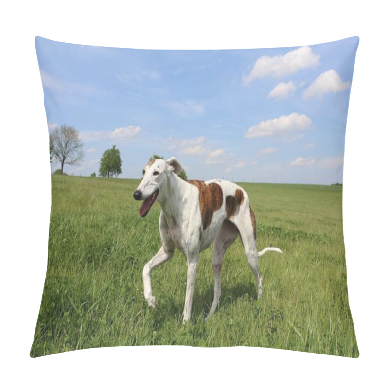 Personality  Beautiful Galgo Is Walking In The Park Pillow Covers