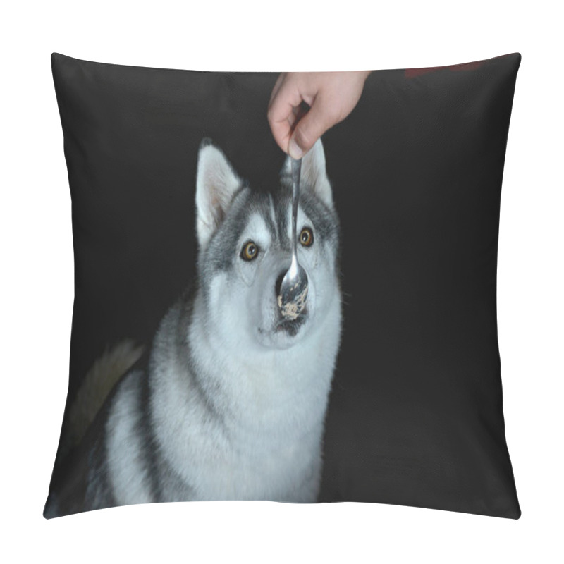 Personality  Beautiful Husky Dog On A Black Background Licks A Spoon With Food Pillow Covers