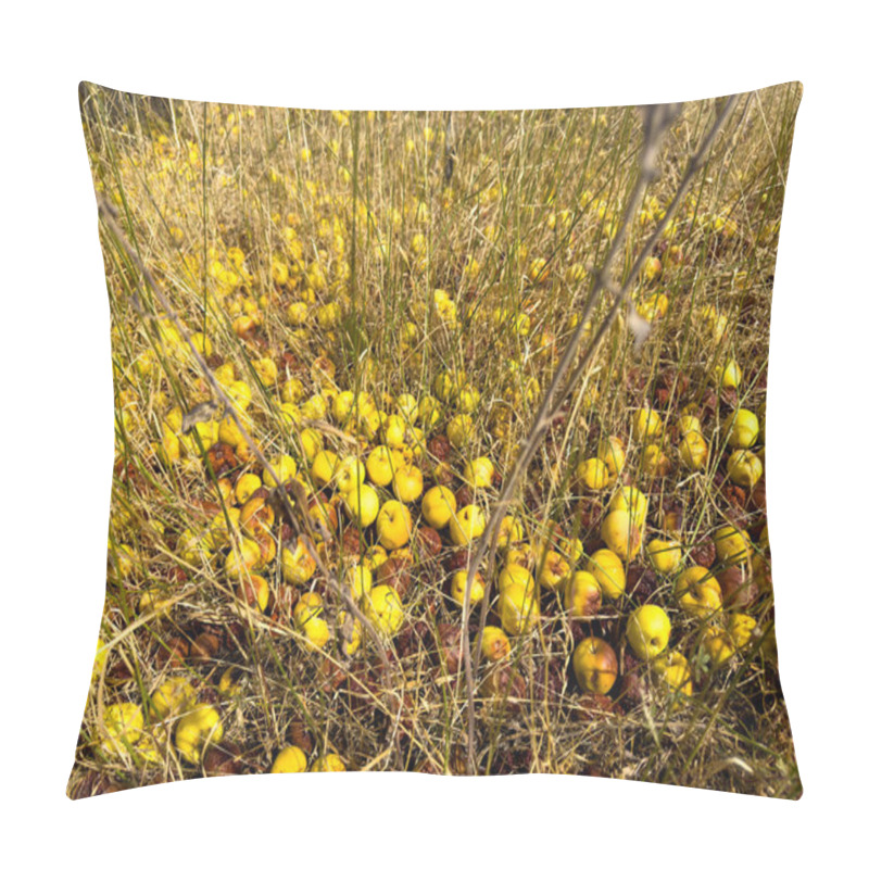 Personality  Unharvested Yellow Apples Lie On The Ground Among Dry Grass, Some Of Which Have Started To Rot. The Spoiled Crop Creates A Scene Of Missed Opportunities In The Autumn Harvest Pillow Covers