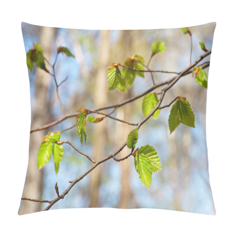 Personality  Tree Branch With Spring Buds And Young Leaves Pillow Covers