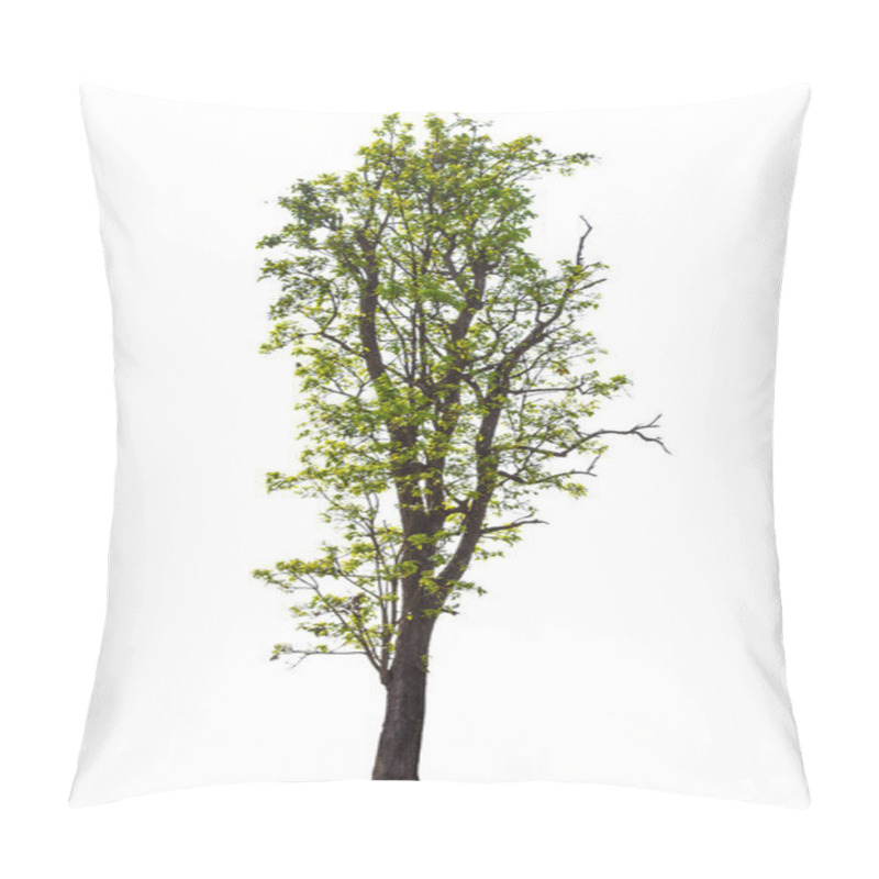 Personality  Green Tree Isolated On A White Background. Pillow Covers