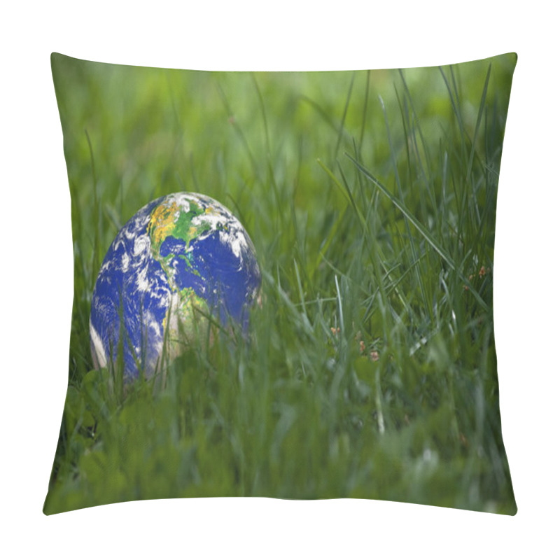 Personality  Earth Laying In The Grass Pillow Covers