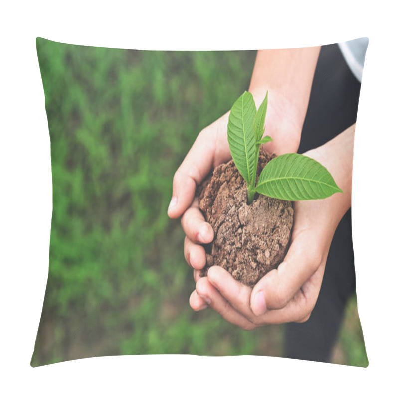 Personality  Close Up Hand Of Children Holding Young Plant On Green Grass Background. Environment Earth Day Concept Pillow Covers