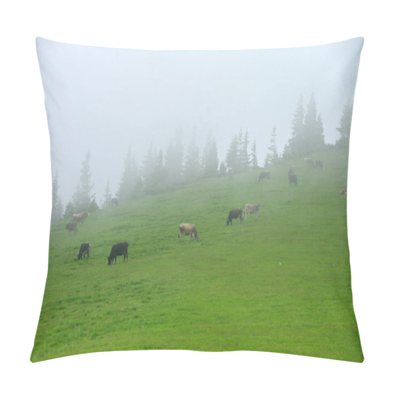 Personality  Cows In The Fog On A Mountain Pasture With Silhouettes Of Fir Trees On The Horizon, Ukrainian Carpathians Pillow Covers